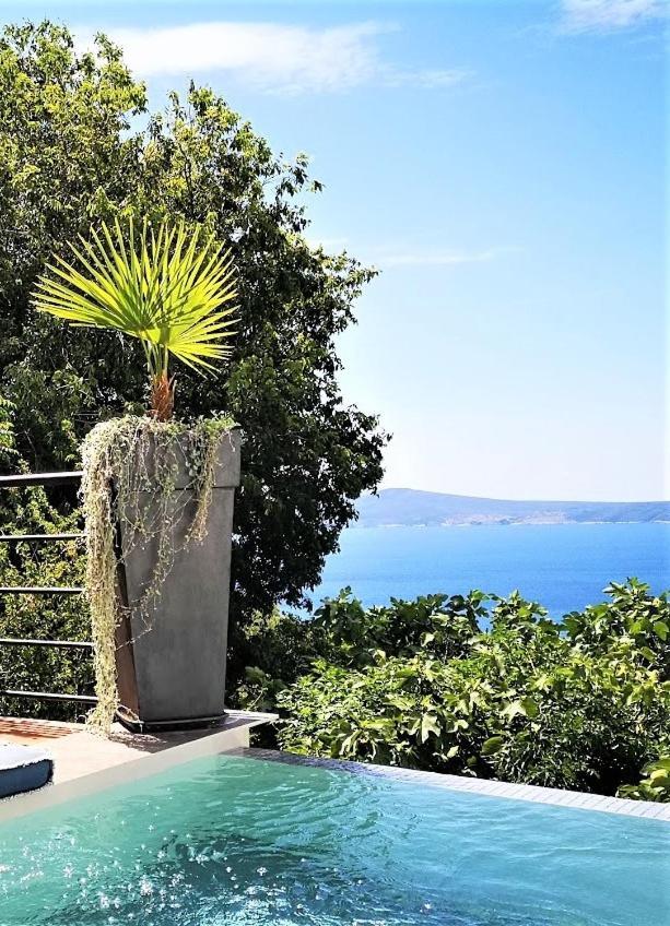 Art Gallery House With A Small Relaxing Pool Криквеница Екстериор снимка